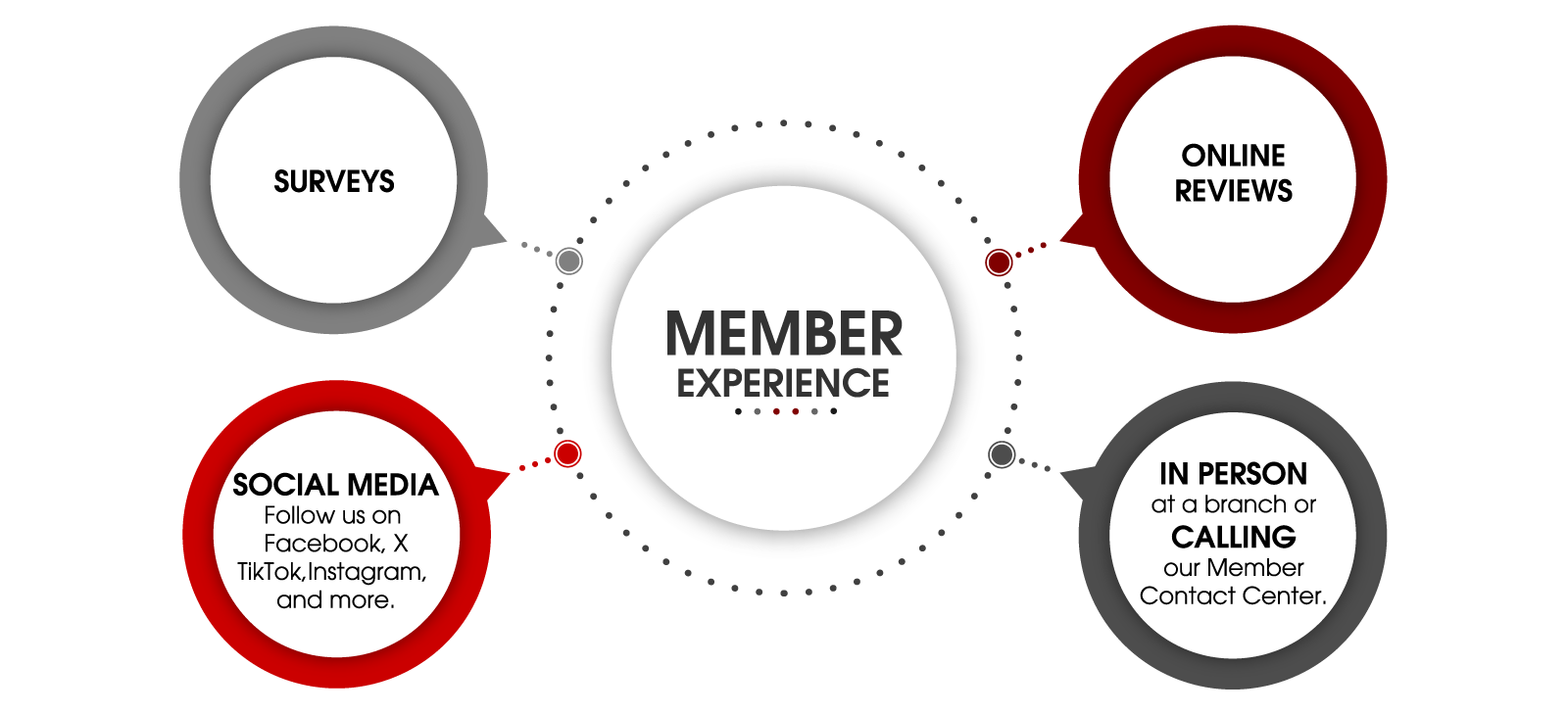 Member Experience Infographic